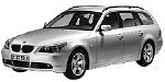 BMW E61 P310E Fault Code
